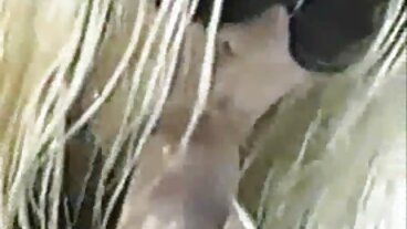 2 amatorskie nowicjusze w Foxy Natychmiast idą na bankomat darmowe erotyczne filmiki Anal